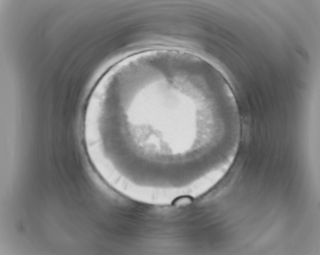 X0000110731531200907241217