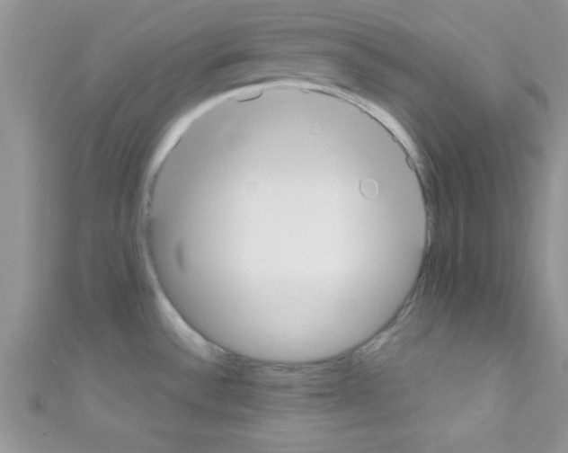 X0000110731532200907241217
