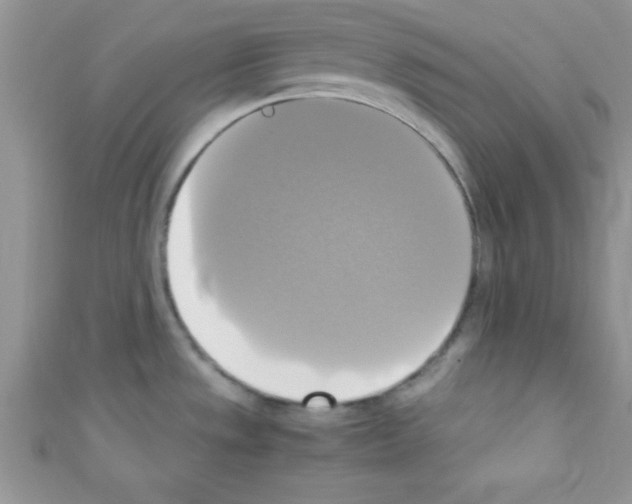 X0000110731533200907241217