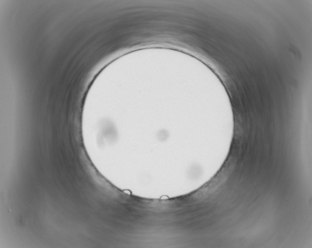 X0000110731534200907241217