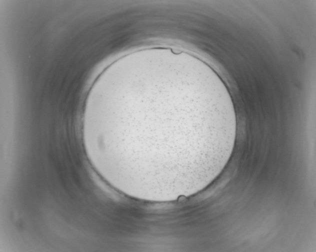 X0000110731535200907241217