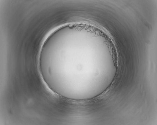 X0000110731536200907241217