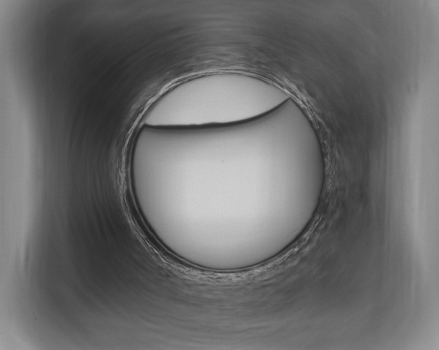 X0000110740002200906150938
