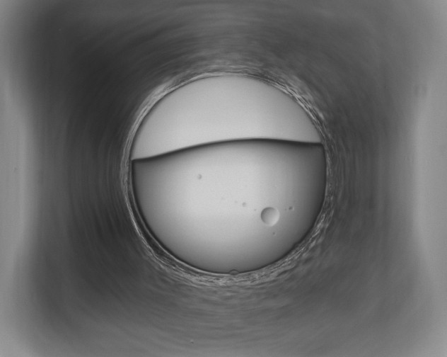 X0000110740003200906150938