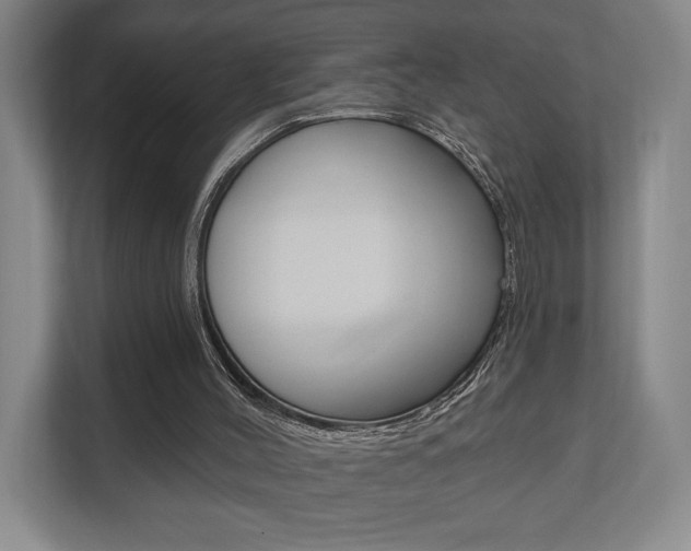X0000110740004200906150938