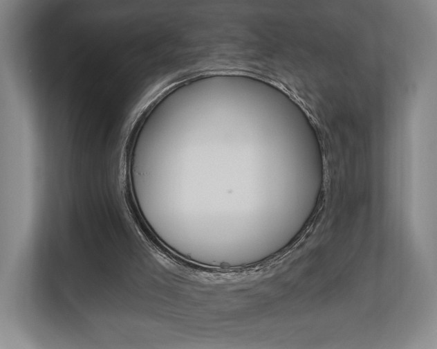 X0000110740005200906150938