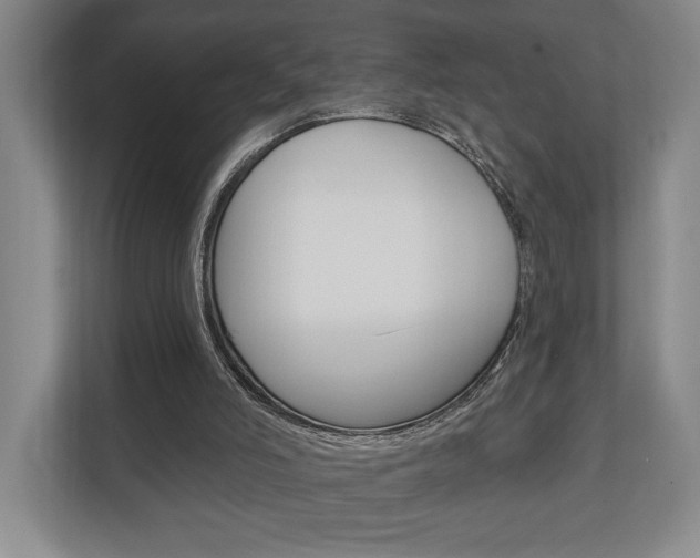 X0000110740006200906150938