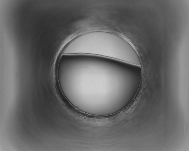 X0000110740008200906150938