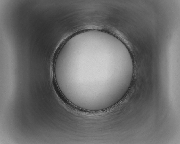 X0000110740011200906150938