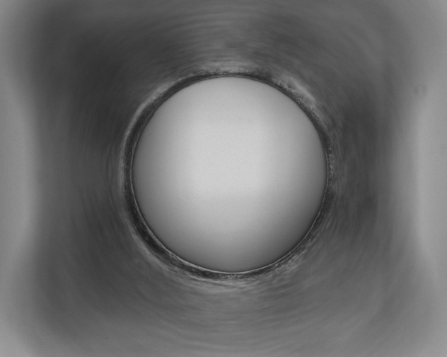 X0000110740012200906150938
