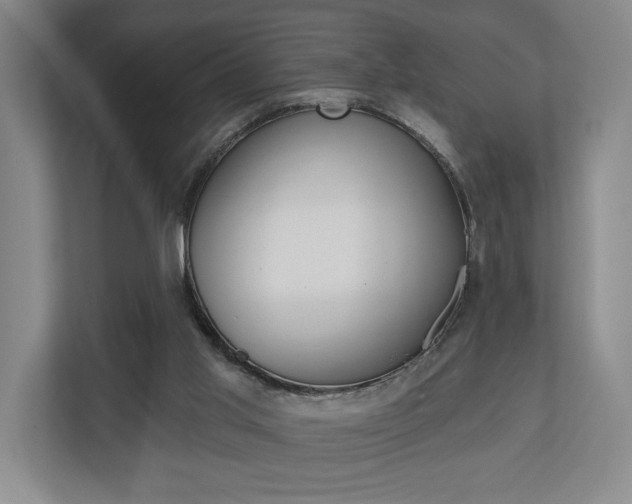X0000110740013200906150938
