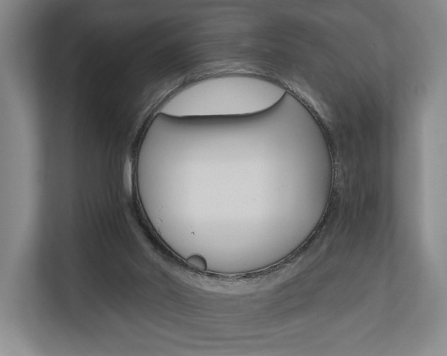 X0000110740014200906150938