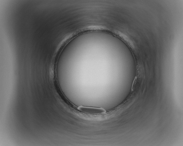 X0000110740015200906150938