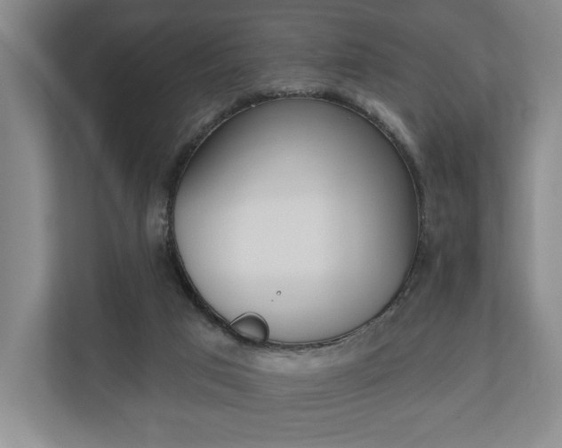 X0000110740017200906150938
