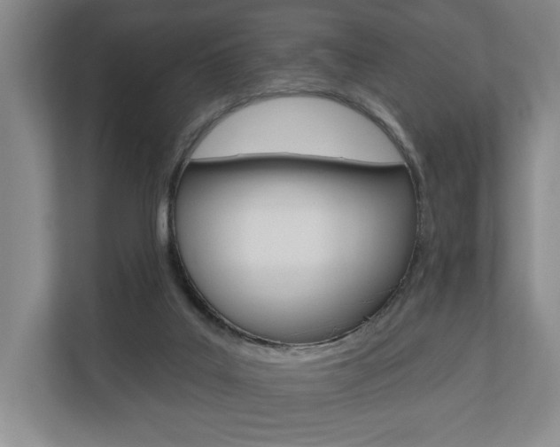 X0000110740019200906150938
