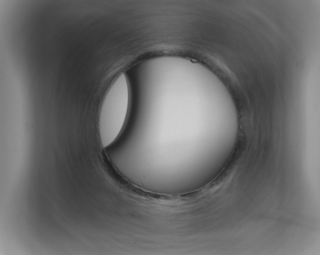 X0000110740024200906150938