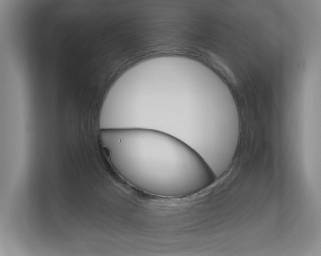X0000110740025200906150938