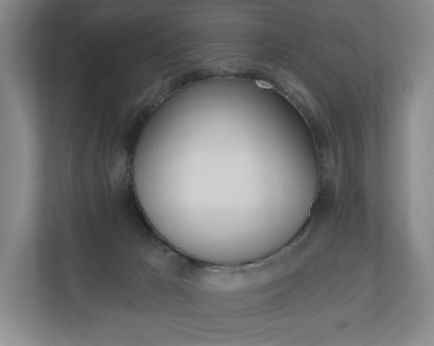 X0000110740029200906150938