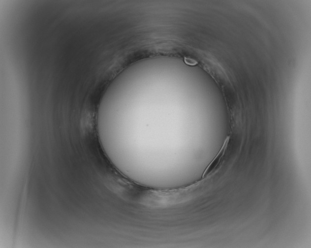 X0000110740033200906150938