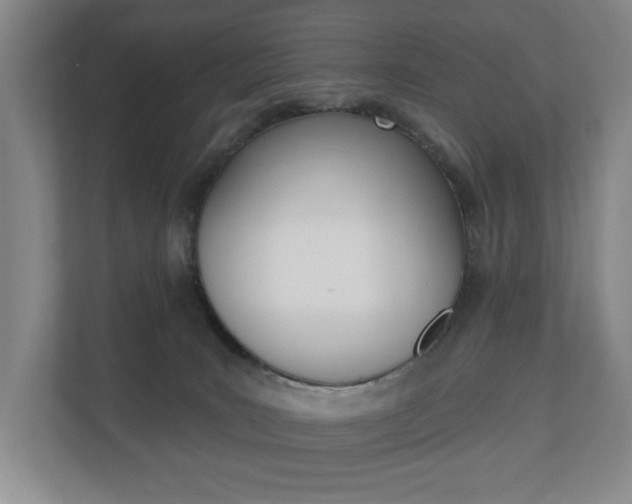 X0000110740035200906150938