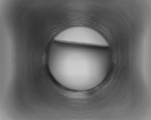 X0000110740036200906150938