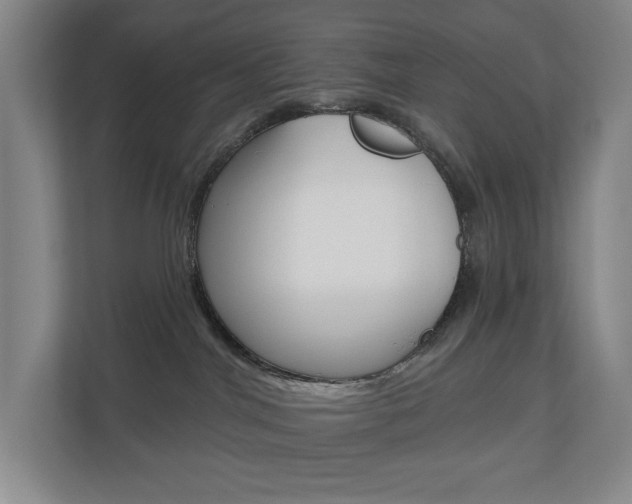 X0000110740044200906150938