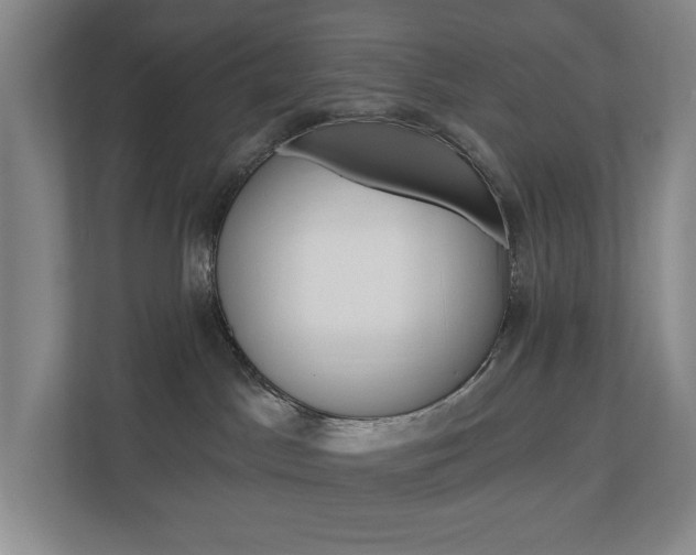 X0000110740045200906150938