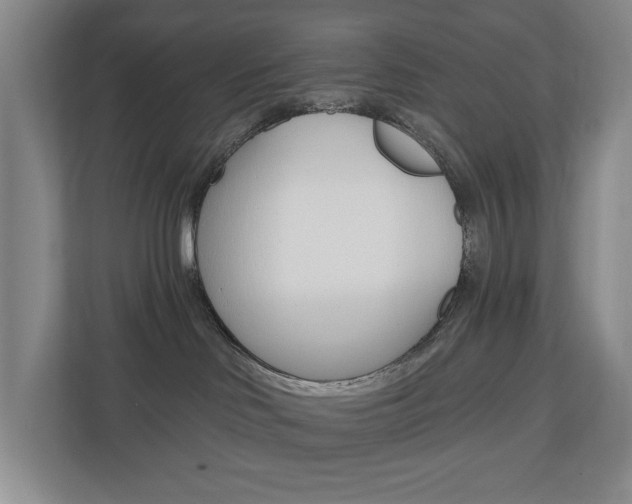 X0000110740046200906150938