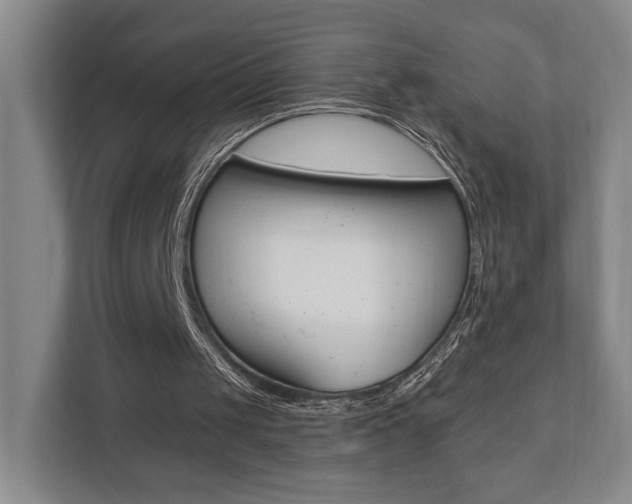 X0000110740049200906150937