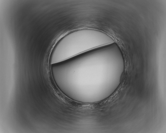 X0000110740050200906150937