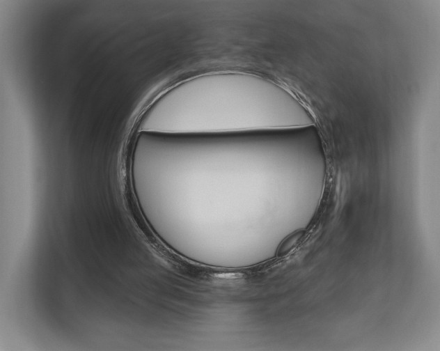 X0000110740053200906150937