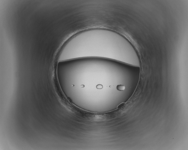 X0000110740060200906150937