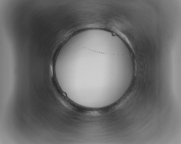 X0000110740061200906150937