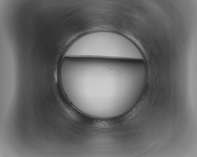 X0000110740062200906150937