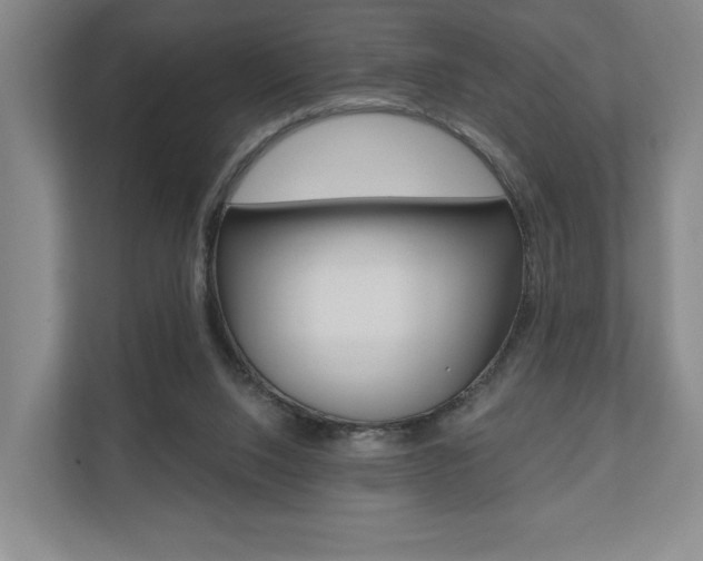 X0000110740064200906150937