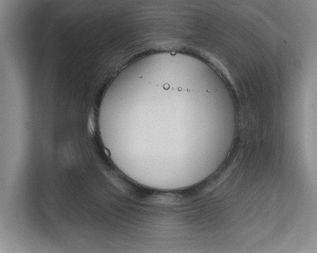 X0000110740069200906150937