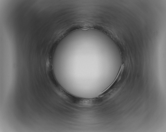 X0000110740084200906150937