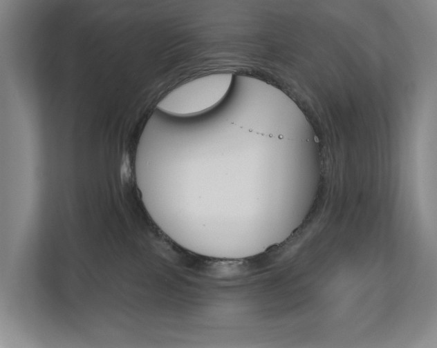 X0000110740089200906150937