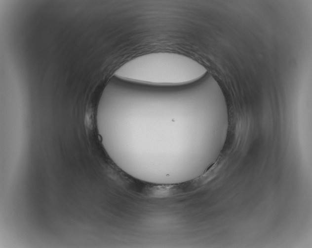 X0000110740090200906150937