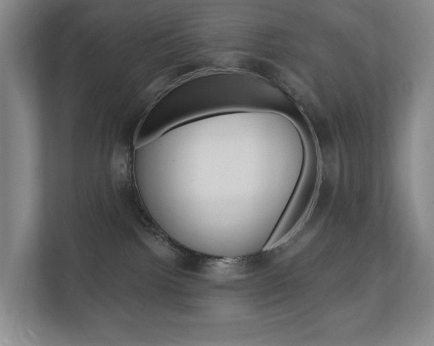 X0000110740092200906150937