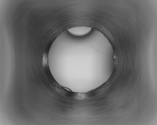 X0000110740095200906150937