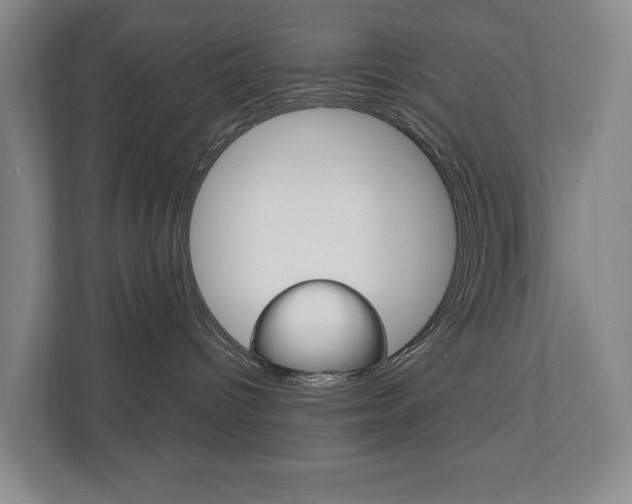 X0000110740096200906150938