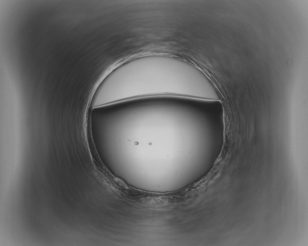 X0000110740100200906150937