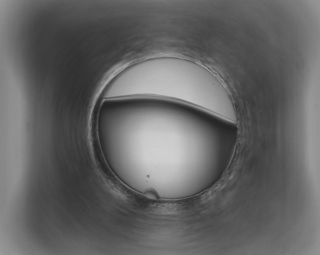 X0000110740104200906150937