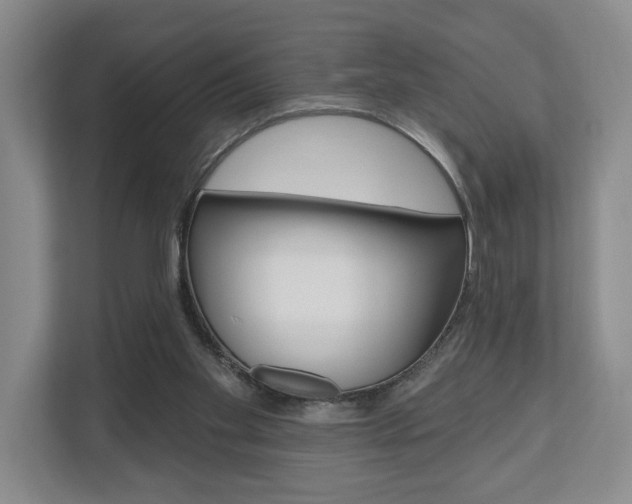X0000110740109200906150937