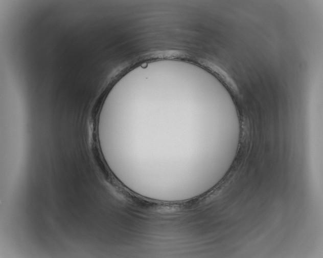 X0000110740110200906150937