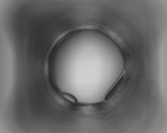 X0000110740112200906150937
