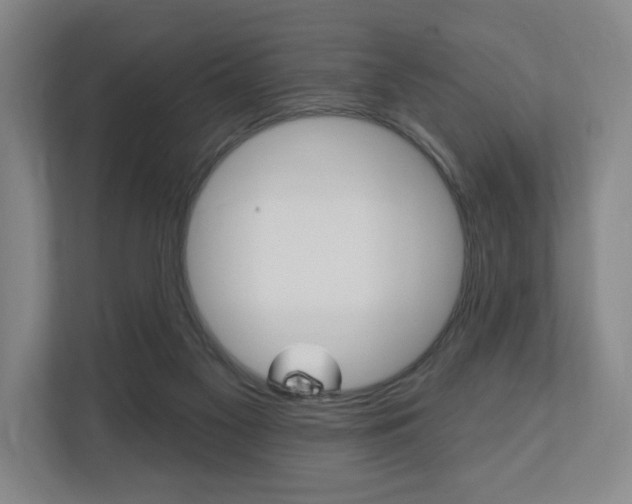 X0000110740117200906150937