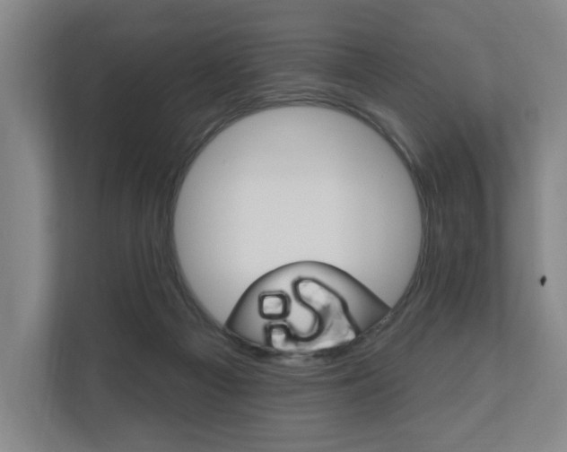 X0000110740121200906150937