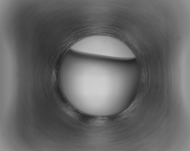 X0000110740128200906150936